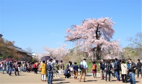 １円山公園（２６－３１２１）安養寺 (2).JPG