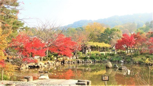 ３円山公園（２６－３１２１）安養寺 (16).JPG