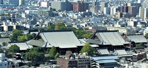 １DSC00497京都タワーから (7)西本願寺左に御影堂右に阿弥陀堂.JPG