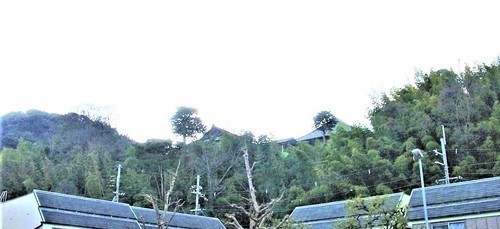 1(26-59004)(00)<2>神応寺遠景.JPG