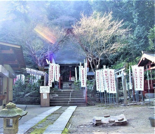 10(26-59004)(00)神応寺不動堂2.JPG