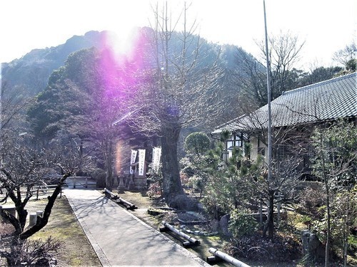 5境内(26-59004)(00)神応寺境内.JPG
