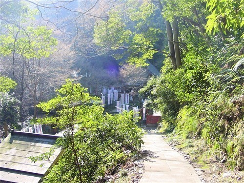 9不動堂へ(26-59004)(00)神応寺不動堂.JPG