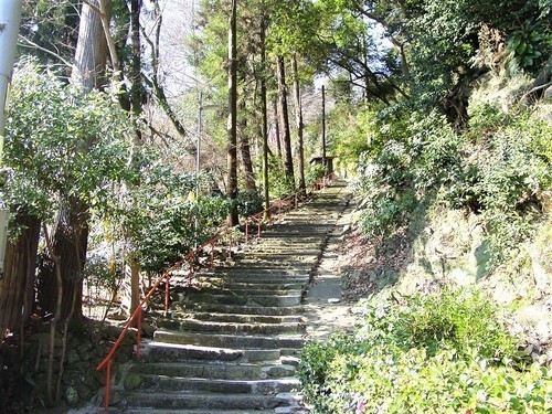 3参道(26-59004)(00)神応寺参道1.JPG
