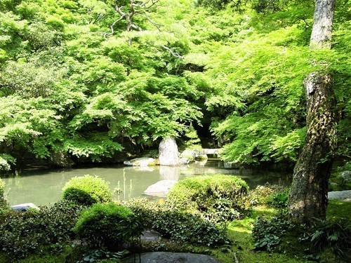 １６庭園（２６－１４００２）蓮華寺 (1).JPG