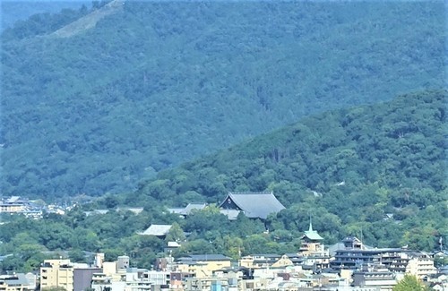 DSC00713京都タワーから (27)知恩院.JPG
