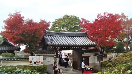 １山門（２６－２０９８）東福寺 (3).JPG