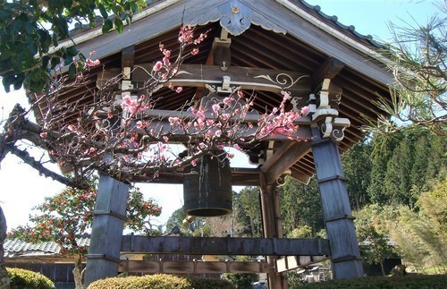 7鐘楼(25-5509)最勝寺 (15).JPG