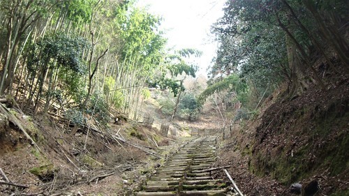 4参道(26-45011)牛尾観音 (16).JPG