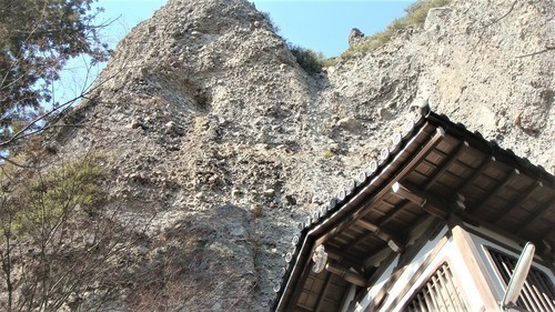 ９崖を見上げる（３７－２０１０）清瀧山 (14).JPG