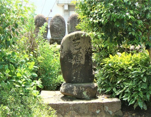 ３芭蕉塚（１６－０６１４）城国寺 (11).JPG