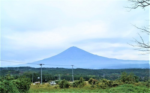 １沼津から望む富士山（２２－６１）（００）乗雲寺境内１ (2).JPG