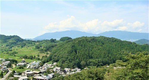６フグリ山（２９－１３５７）上宮寺 (15).JPG