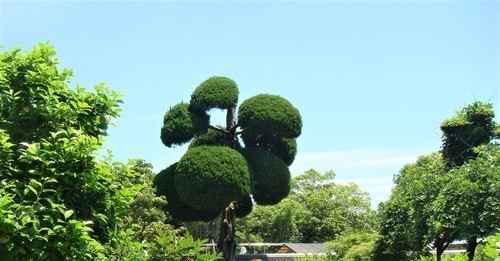 １５庭園（２９－２００）當麻寺 (16).JPG