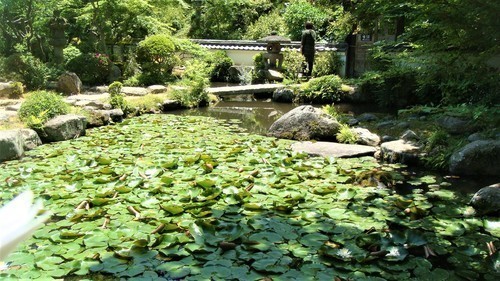 １１庭園（２９－２００）當麻寺 (12).JPG