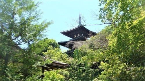 １０庭園から見る東塔（２９－２００）當麻寺 (10).JPG