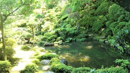 11庭園(29-20006)西南院 (8).JPG