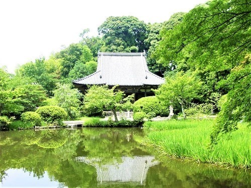 1(29-350)(00)長岳寺本堂と放生池.jpg