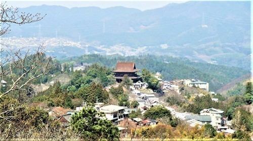 3蔵王堂(29-800)花矢倉展望台 (5).JPG