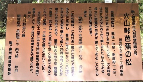 ６説明板（２０－４８０７２）芭蕉の松 (1).JPG