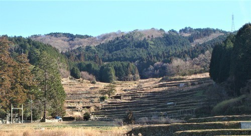 2高山の棚田(27-0203)光明寺 (17).JPG