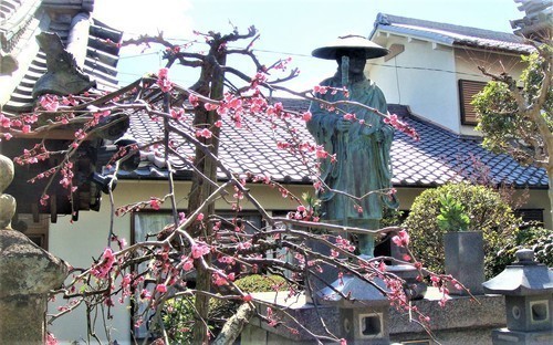 3親鸞聖人像(29-672)善照寺 (12).JPG