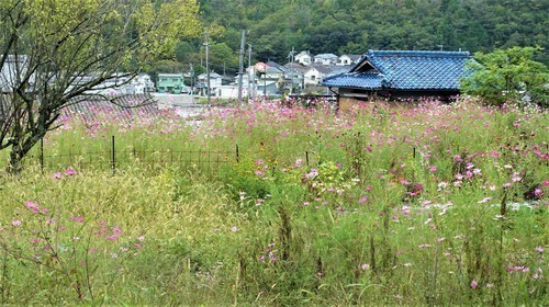 6(28-0108)天乳寺 (4).JPG