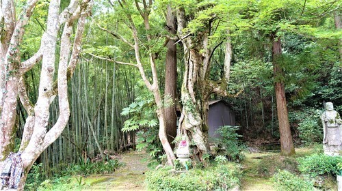 3境内(28-0511)普明寺 (47).JPG