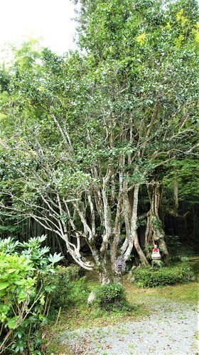 5(28-0511)普明寺 (48).JPG