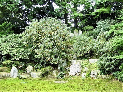 4(25-93)(00)極楽寺庭園.JPG