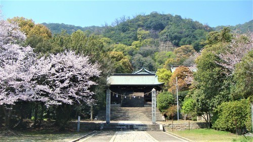 ３沼名前神社（３４－０１２０）小松寺 (7)１.JPG