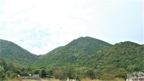 1和田寺山(28-6011)(00)和田寺 (30).JPG