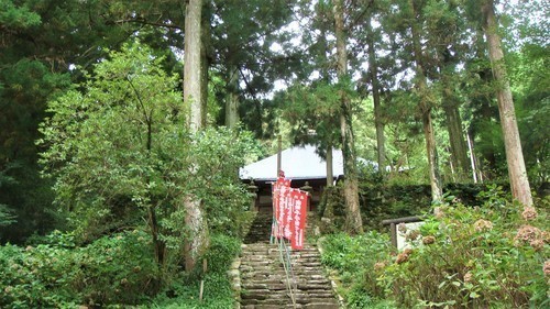 10本堂へ(28-6011)(00)和田寺 (22).JPG