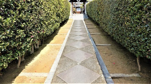 2大雲寺参道(26-5020)宝塔寺 (9).JPG
