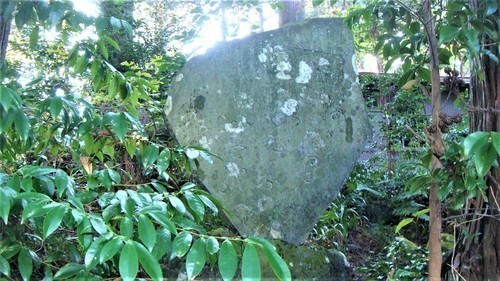 4芭蕉句碑(22-4303)(00)宝持院 (11).JPG