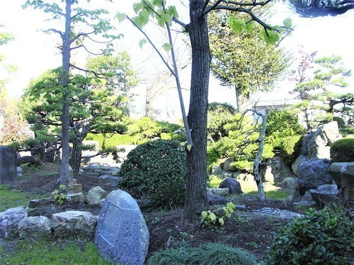５（２２－３７）（００）鉄舟寺庭園.JPG