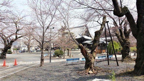 4境内(26-0798)山科本願寺 (2).JPG