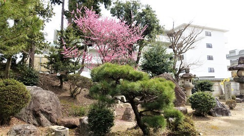 25庭園(26-0798)山科本願寺 (11)1.JPG