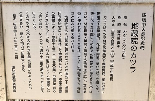 11(20-4009)地蔵院 (9).JPG