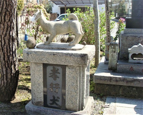 １孝行犬碑（２２－５００６）円明寺 (8).JPG