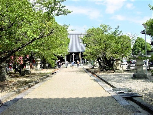 8(23-02)(00)大樹寺参道(本堂へ).jpg