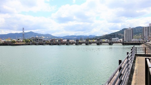 2南郷洗堰(25-0386)南郷洗堰 (2).JPG