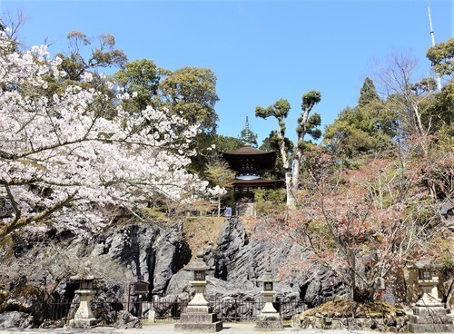 8硅灰石と多宝塔(25-0785)石山寺 (6).JPG