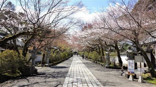 5参道(25-0785)石山寺 (3).JPG