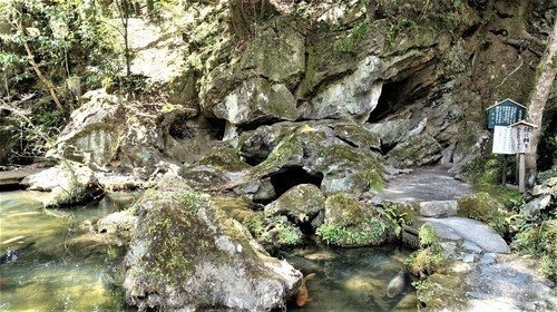7硅灰石のくぐり岩(25-0785)石山寺 (5).JPG