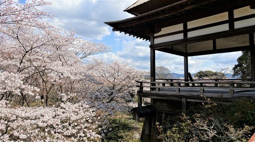 14月見亭(25-0785)石山寺 (16).JPG