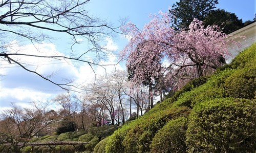 15裏山(25-0785)石山寺 (17).JPG