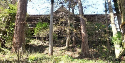19本堂(25-0785)石山寺 (22).JPG