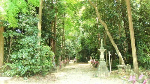9寺叢(23-1203)(00)蓮華寺 (13).JPG