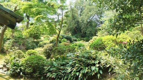 13庭園(23-1203)(00)蓮華寺 (18).JPG
